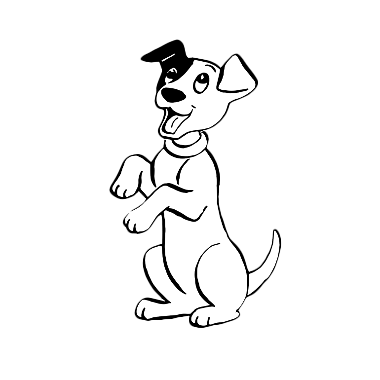 Tierfotostudio_Startseite-header Maskottchen von Jack Russel der auf Hinterpfoten sitzt
