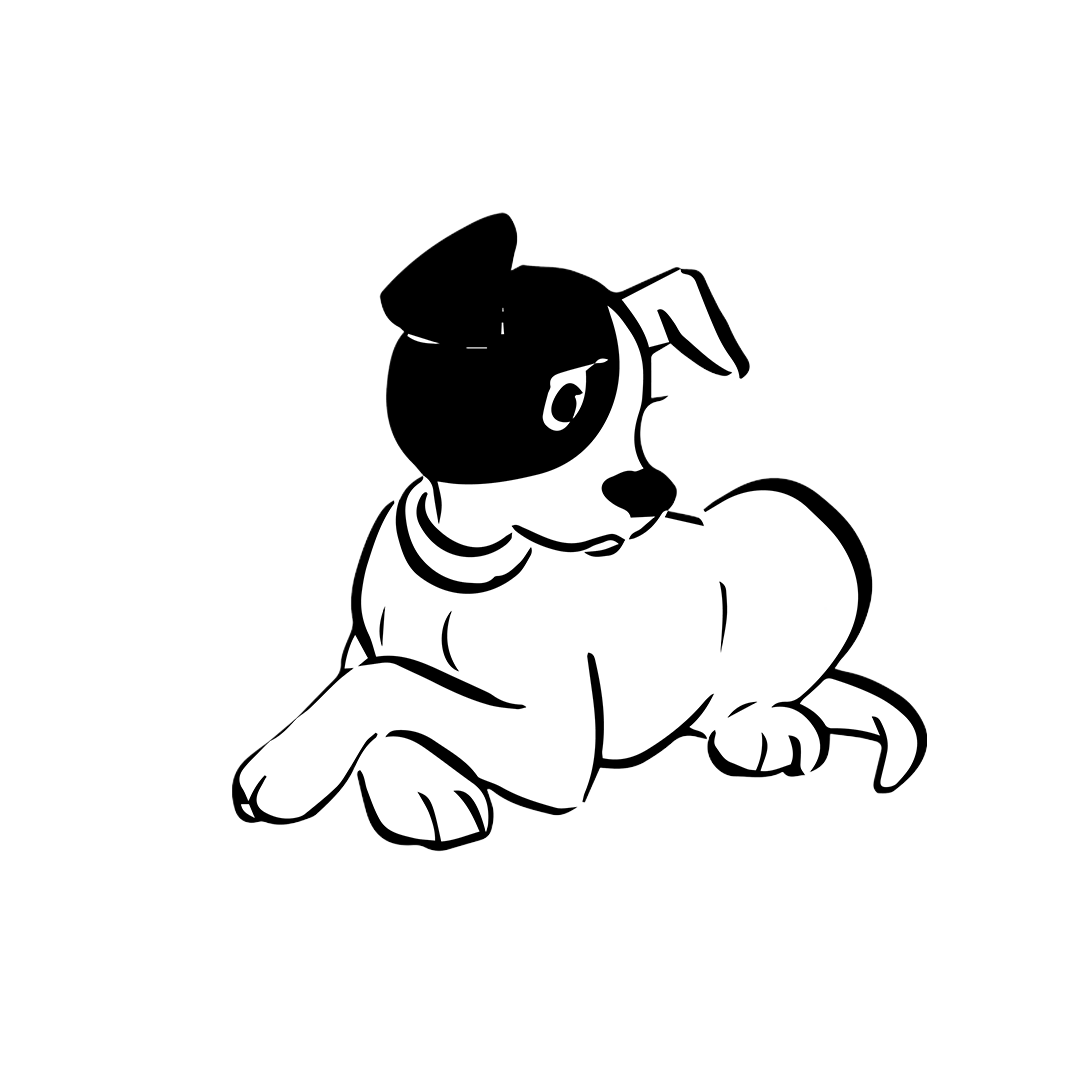 FAQ-Header Jack Russel Maskottchen der liegt und zur Seite schaut
