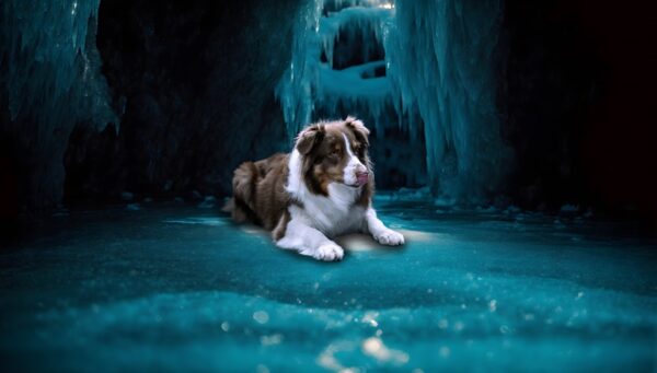 Creative+ “WINTERTRAUM - FROSTZAUBER” Fotobearbeitung